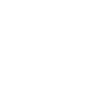 rose-plastic